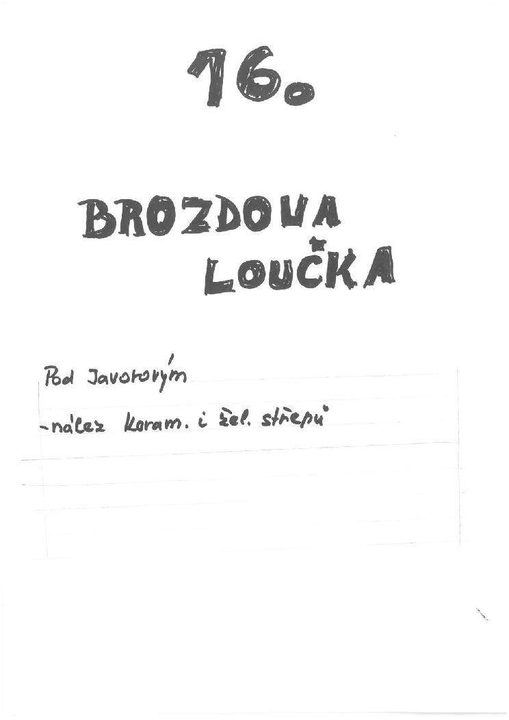 thumbnail of 16_Brozdowa loucka